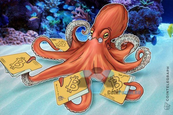 Kraken рабочее зеркало onion