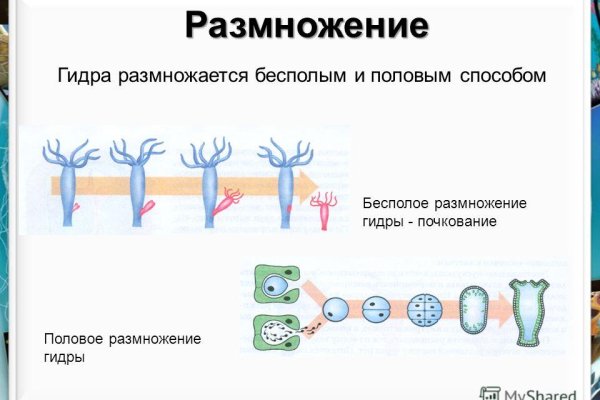 Ссылка на кракен оригинал